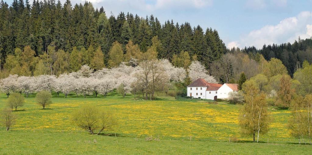 Penzion Krakovice Kaplice Exterior photo